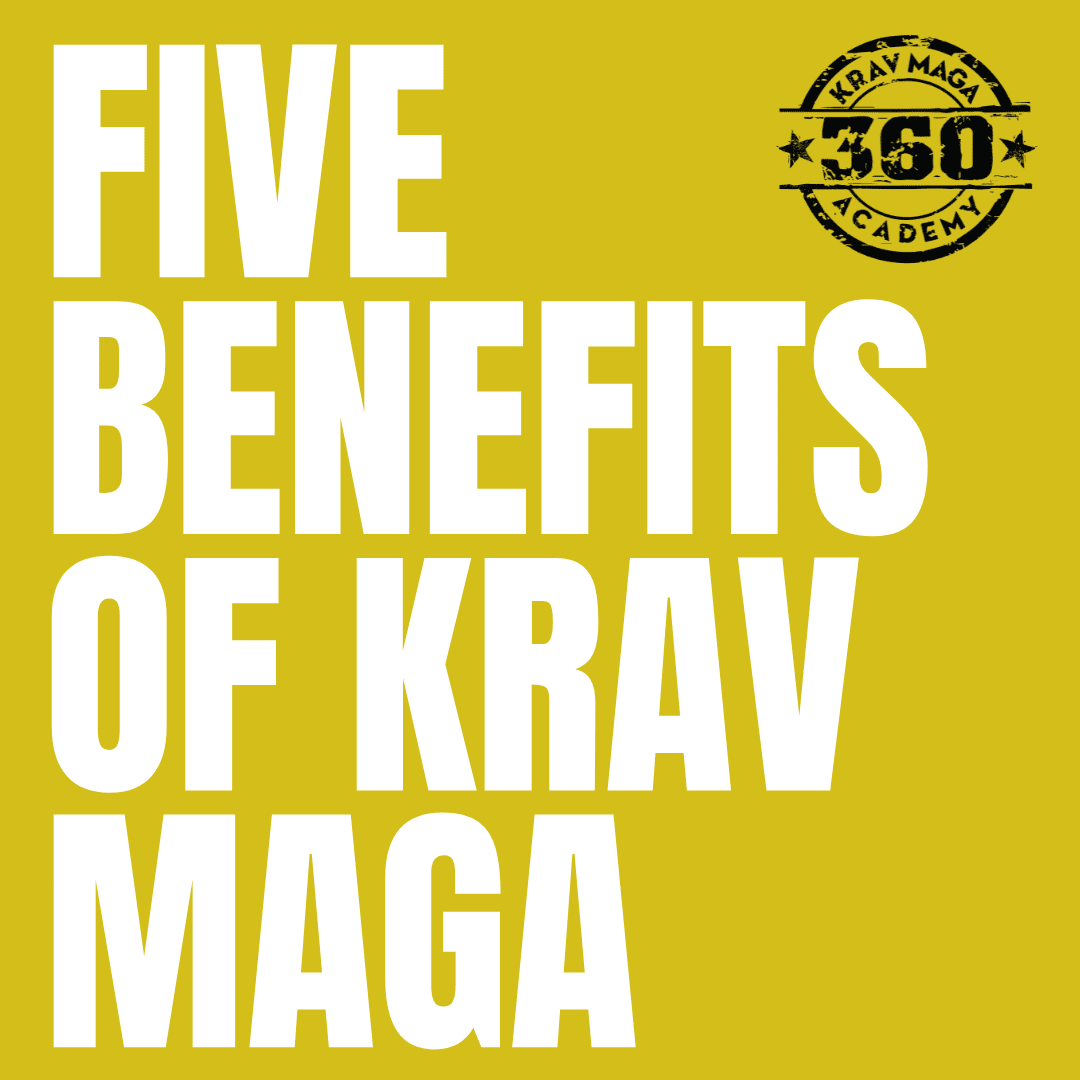 Principles of Krav Maga